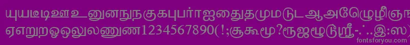 Шрифт TharminiPlain – серые шрифты на фиолетовом фоне