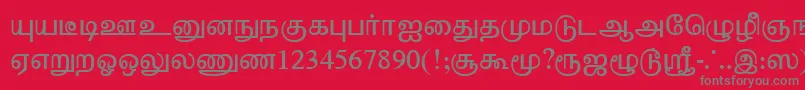 TharminiPlain Font – Gray Fonts on Red Background
