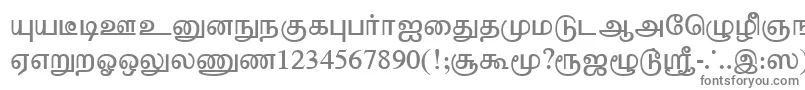 TharminiPlain-fontti – harmaat kirjasimet valkoisella taustalla