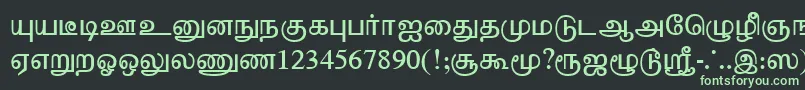 フォントTharminiPlain – 黒い背景に緑の文字