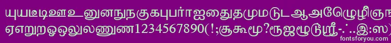 TharminiPlain-fontti – vihreät fontit violetilla taustalla