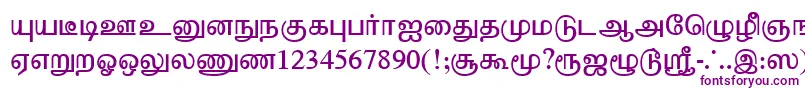 TharminiPlain Font – Purple Fonts