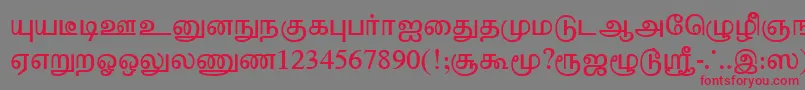 TharminiPlain Font – Red Fonts on Gray Background