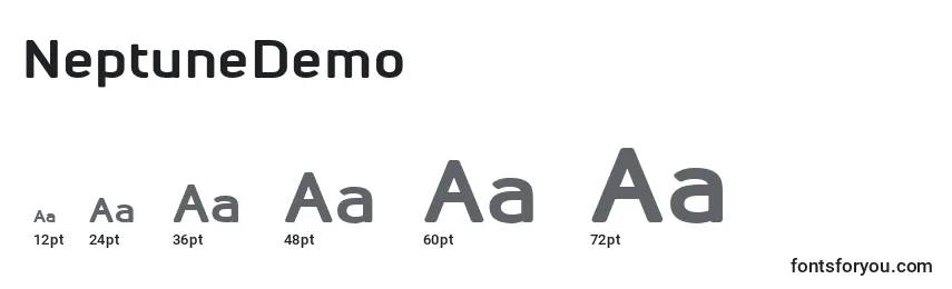 NeptuneDemo Font Sizes