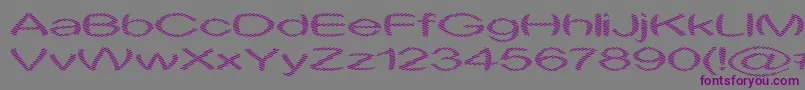 Obtuse1-Schriftart – Violette Schriften auf grauem Hintergrund