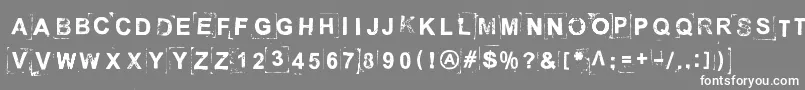 BreakOnThroughToTheOtherSide Font – White Fonts on Gray Background