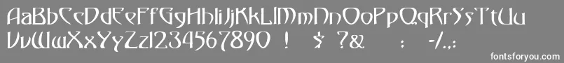 フォント30 – 灰色の背景に白い文字