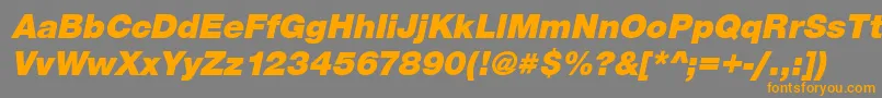 SansBlackItalic Font – Orange Fonts on Gray Background