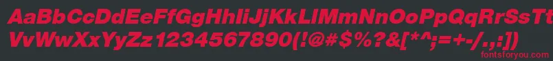 SansBlackItalic Font – Red Fonts on Black Background