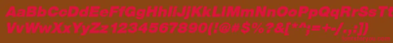 SansBlackItalic Font – Red Fonts on Brown Background