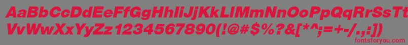 SansBlackItalic Font – Red Fonts on Gray Background