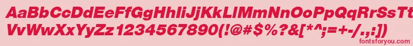 SansBlackItalic Font – Red Fonts on Pink Background