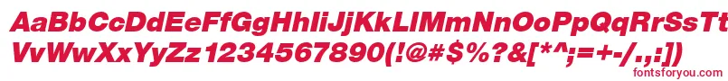 SansBlackItalic Font – Red Fonts on White Background