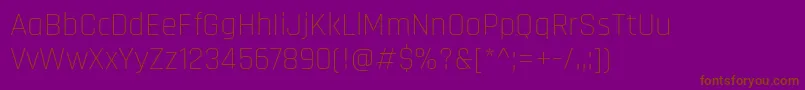RajdhaniLight Font – Brown Fonts on Purple Background