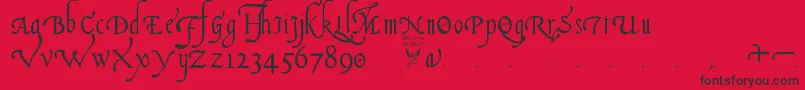 ItalianCursive16thCentury Font – Black Fonts on Red Background