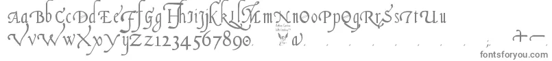 Czcionka ItalianCursive16thCentury – szare czcionki na białym tle