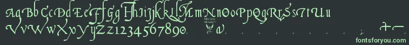 ItalianCursive16thCentury Font – Green Fonts on Black Background