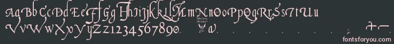 ItalianCursive16thCentury Font – Pink Fonts on Black Background