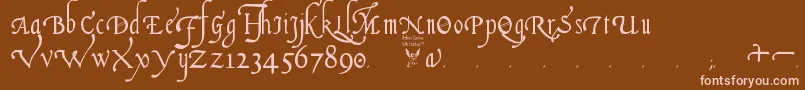 ItalianCursive16thCentury Font – Pink Fonts on Brown Background