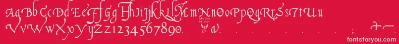 Fonte ItalianCursive16thCentury – fontes rosa em um fundo vermelho