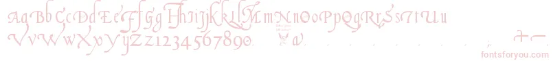 ItalianCursive16thCentury Font – Pink Fonts on White Background