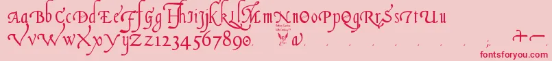 ItalianCursive16thCentury Font – Red Fonts on Pink Background