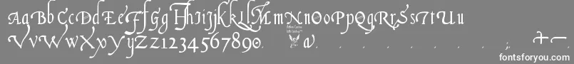ItalianCursive16thCentury Font – White Fonts on Gray Background