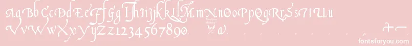 ItalianCursive16thCentury Font – White Fonts on Pink Background
