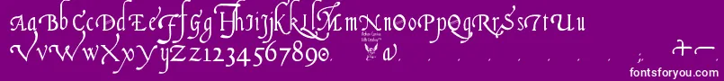 ItalianCursive16thCentury Font – White Fonts on Purple Background