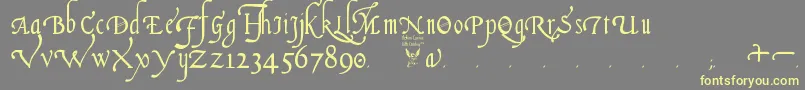 ItalianCursive16thCentury Font – Yellow Fonts on Gray Background