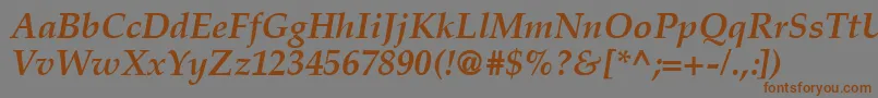 CriteriaSsiBoldItalic Font – Brown Fonts on Gray Background