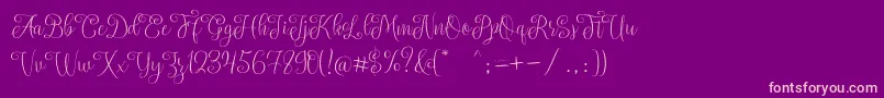 SettaScript-Schriftart – Rosa Schriften auf violettem Hintergrund