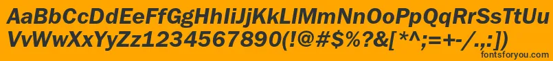 FranklingothicdemicItalic Font – Black Fonts on Orange Background