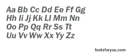 FranklingothicdemicItalic Font