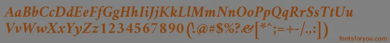 AmiriBoldslanted Font – Brown Fonts on Gray Background
