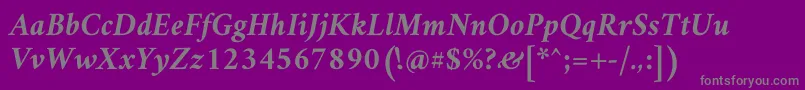 AmiriBoldslanted-Schriftart – Graue Schriften auf violettem Hintergrund