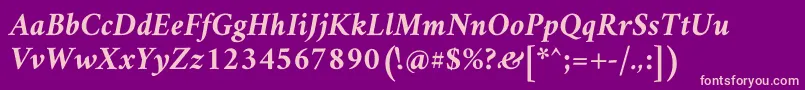 AmiriBoldslanted-fontti – vaaleanpunaiset fontit violetilla taustalla