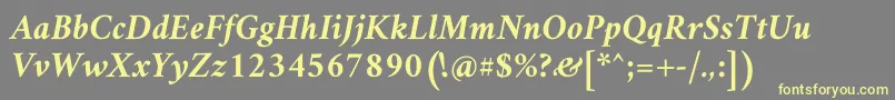 AmiriBoldslanted-fontti – keltaiset fontit harmaalla taustalla