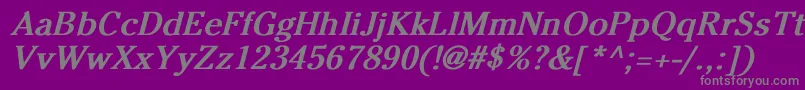 CheltenhamNormalBoldItalic Font – Gray Fonts on Purple Background