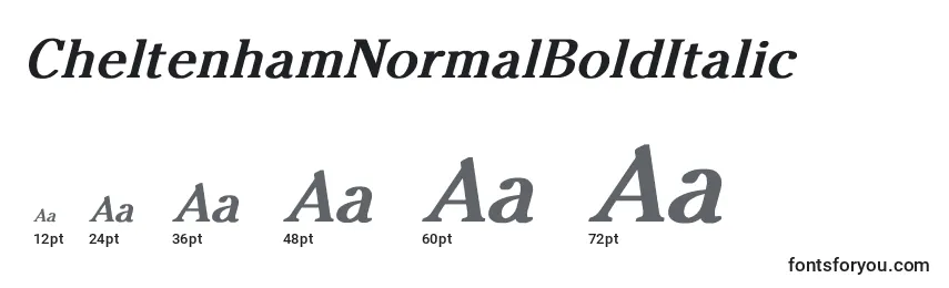CheltenhamNormalBoldItalic Font Sizes