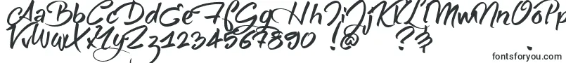 SheAlwaysWalksAloneDemo Font – Fonts for signs