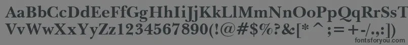 Шрифт BaskervilleBoldBt – чёрные шрифты на сером фоне