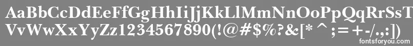 フォントBaskervilleBoldBt – 灰色の背景に白い文字