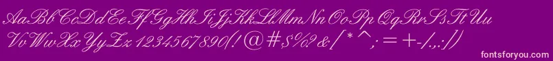 Sigroom Font – Pink Fonts on Purple Background