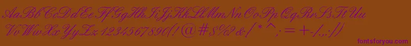 Sigroom Font – Purple Fonts on Brown Background