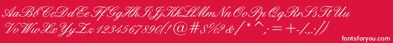 Sigroom-Schriftart – Weiße Schriften auf rotem Hintergrund