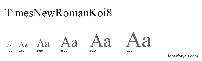 TimesNewRomanKoi8 Font Sizes