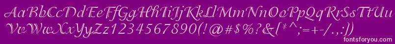 PgIsadoraCyrProRegular Font – Pink Fonts on Purple Background