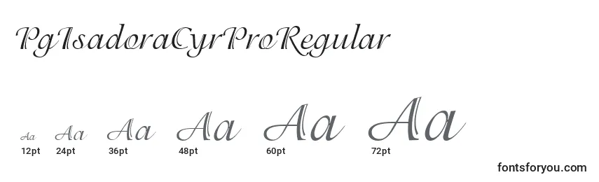Размеры шрифта PgIsadoraCyrProRegular