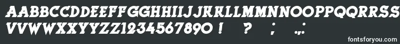 フォントHerneBoldItalic – 黒い背景に白い文字